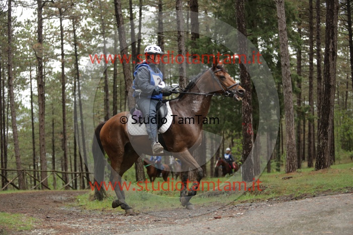 MAT_8518.JPG