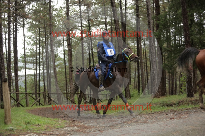 MAT_8544.JPG