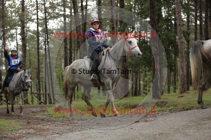 MAT_8577.JPG