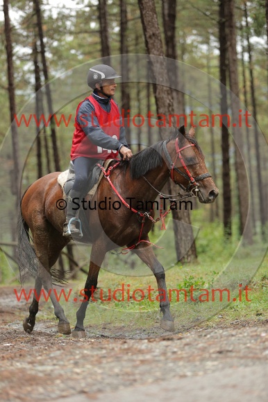 MAT_8316.JPG