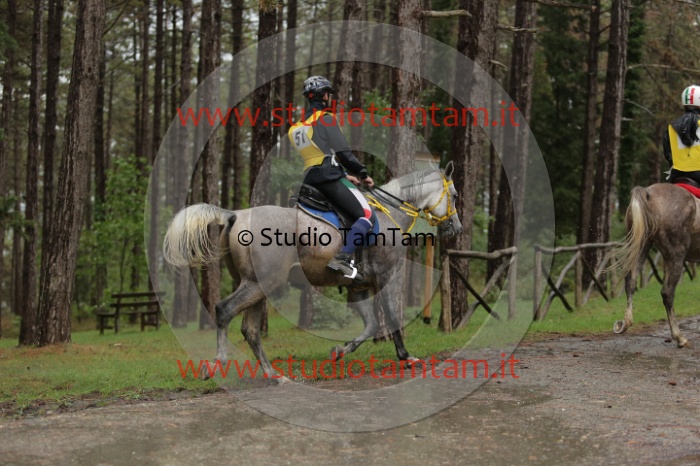MAT_6989.JPG