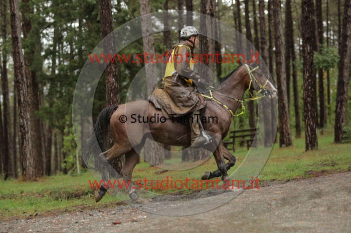 MAT_7638.JPG