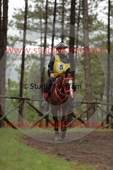 MAT_7925.JPG