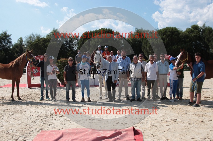 IMGB2445.JPG