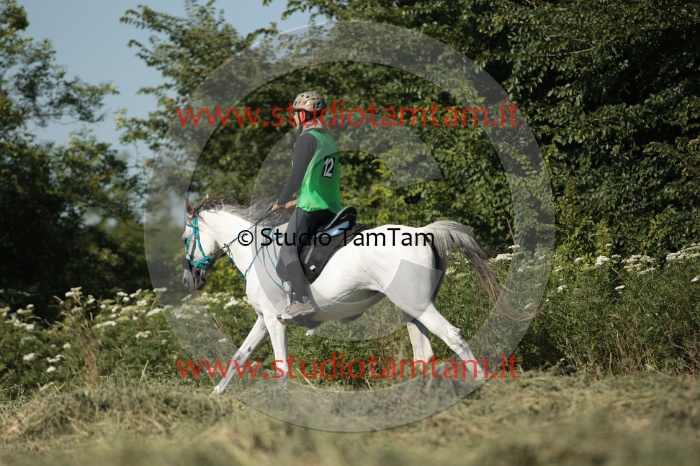 IMGB2012.JPG
