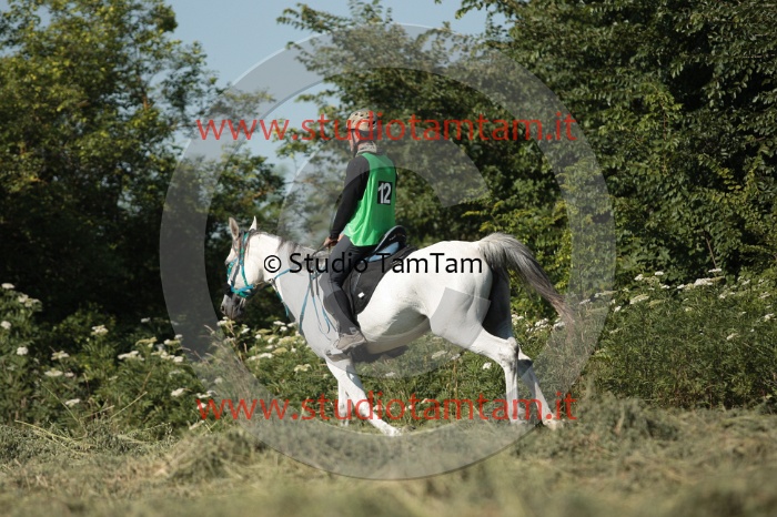 IMGB2013.JPG