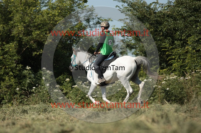 IMGB2014.JPG