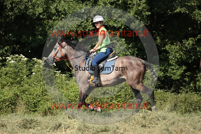 IMGB2213.JPG