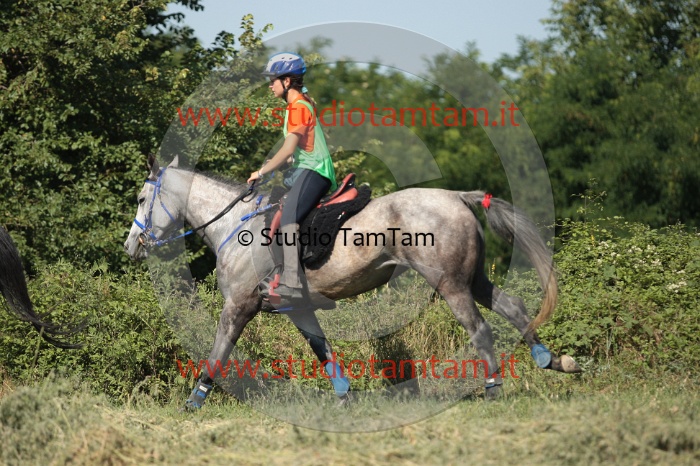 IMGB2246.JPG
