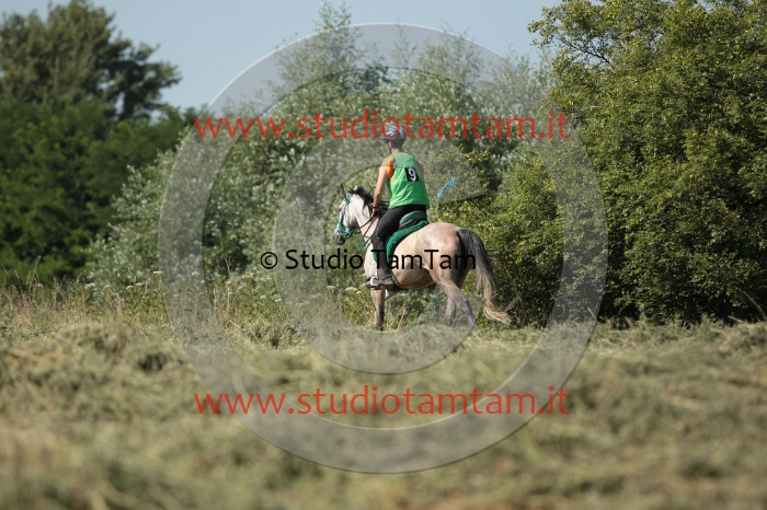 IMGB2324.JPG