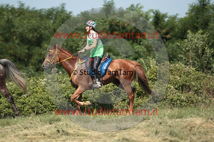 IMGB2334.JPG