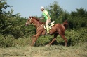 IMGB2000