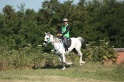 IMGB2002
