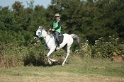 IMGB2003