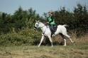 IMGB2006