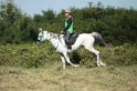 IMGB2008