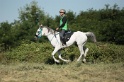 IMGB2009
