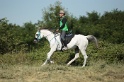 IMGB2010