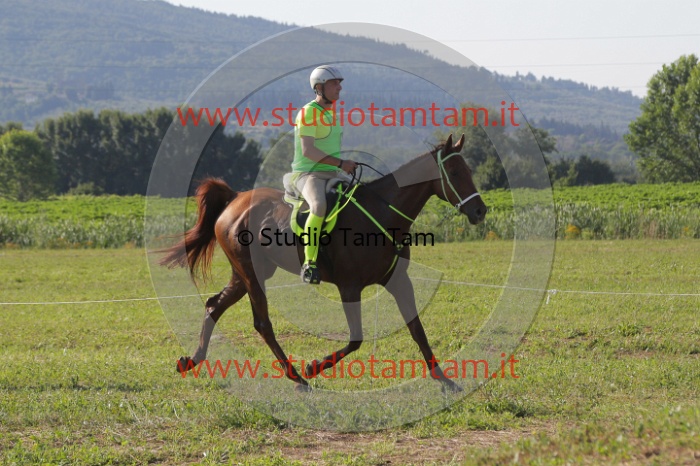 MAT_3418.JPG