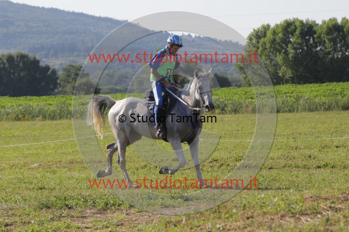 MAT_3423.JPG
