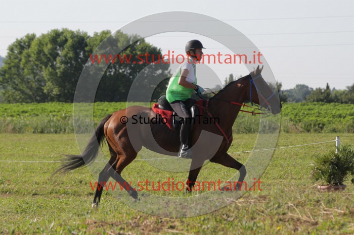 MAT_3444.JPG