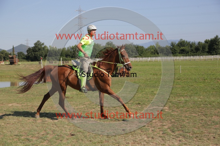 MAT_3639.JPG