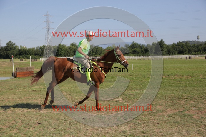 MAT_3640.JPG