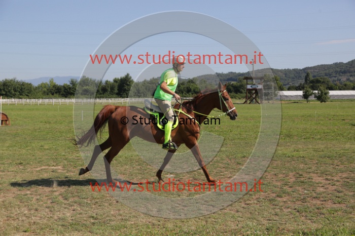 MAT_3642.JPG
