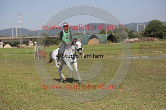 MAT_3645.JPG