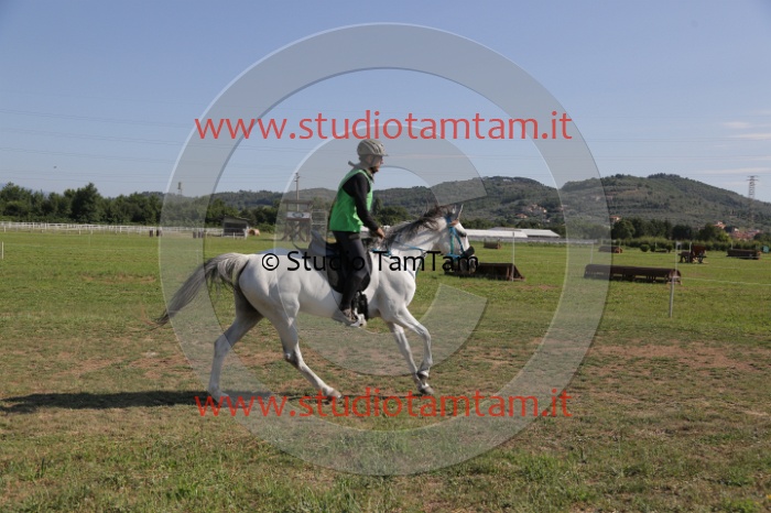 MAT_3654.JPG