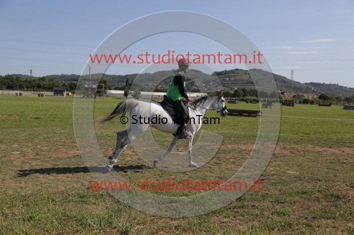 MAT_3655.JPG