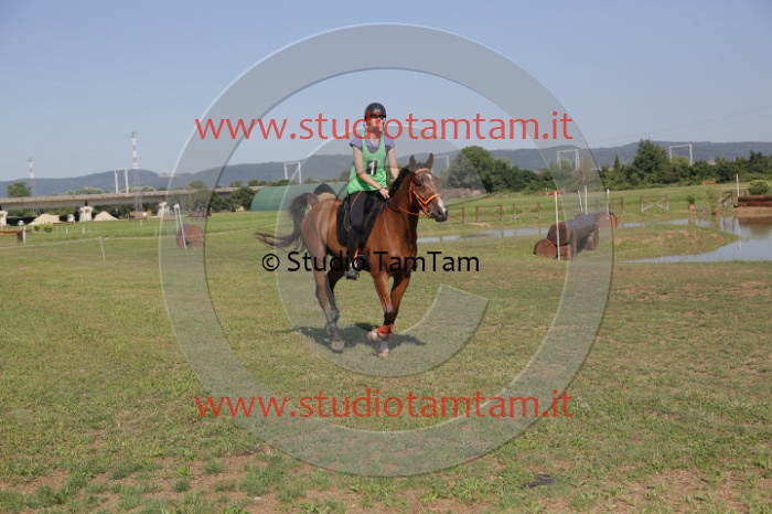 MAT_3656.JPG