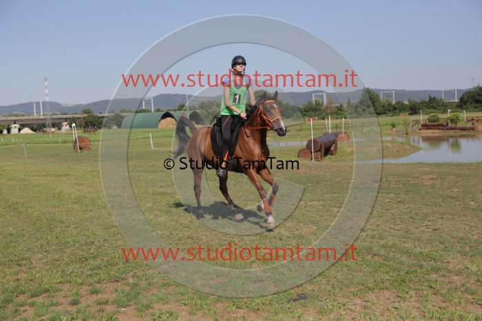 MAT_3657.JPG