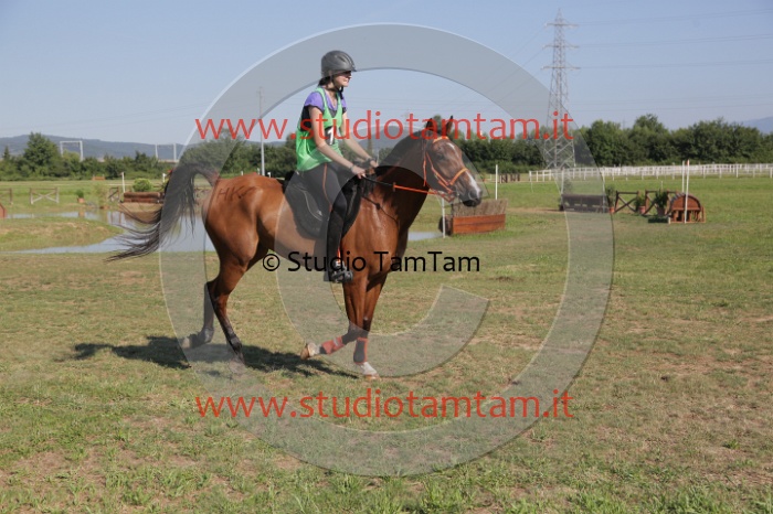 MAT_3659.JPG