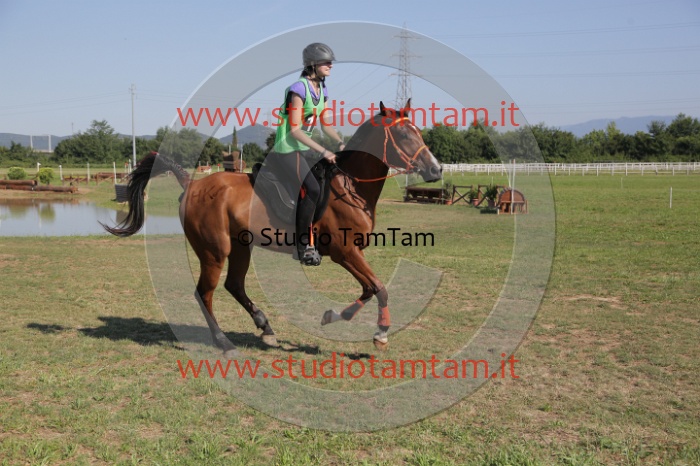 MAT_3660.JPG