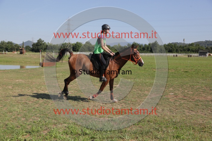 MAT_3661.JPG