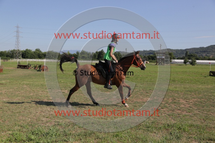 MAT_3662.JPG