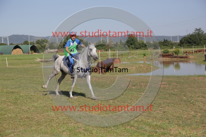 MAT_3668.JPG