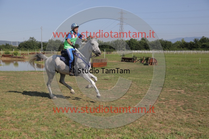 MAT_3672.JPG