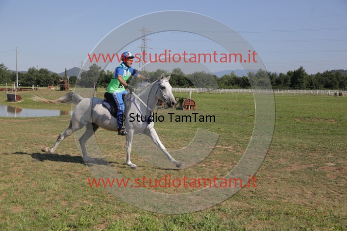 MAT_3673.JPG