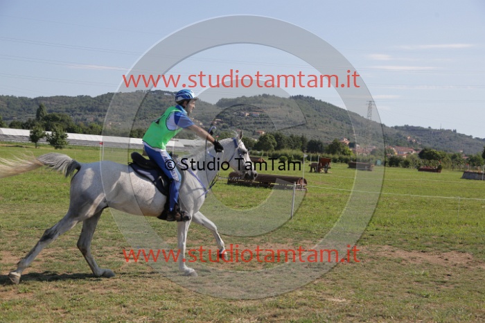 MAT_3676.JPG
