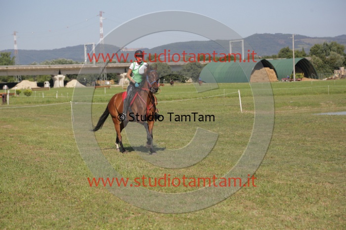 MAT_3678.JPG