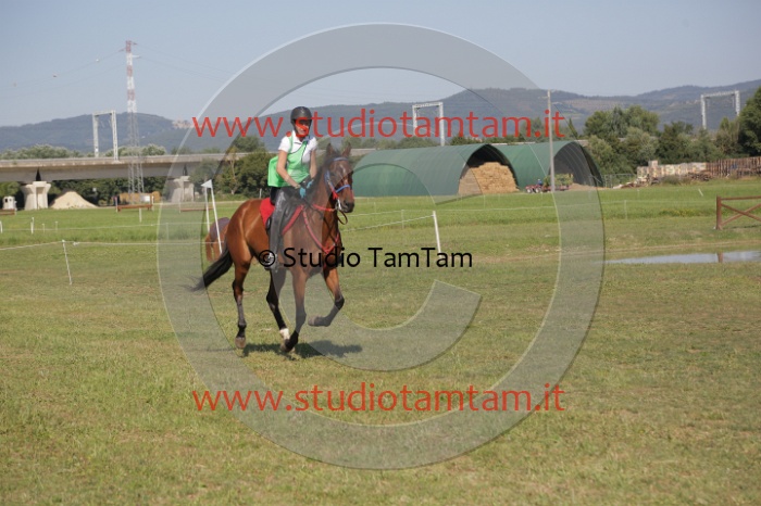 MAT_3679.JPG