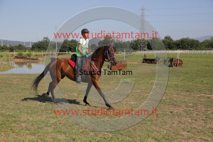 MAT_3687.JPG