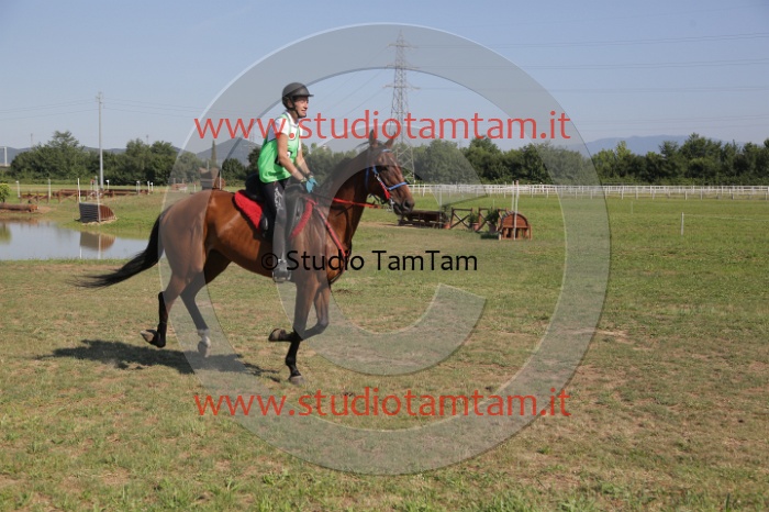 MAT_3688.JPG