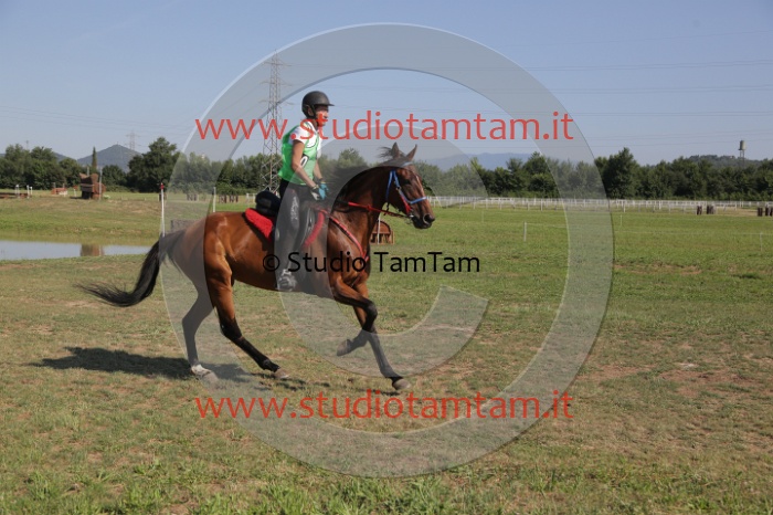 MAT_3689.JPG