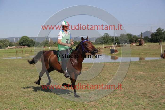 MAT_3690.JPG