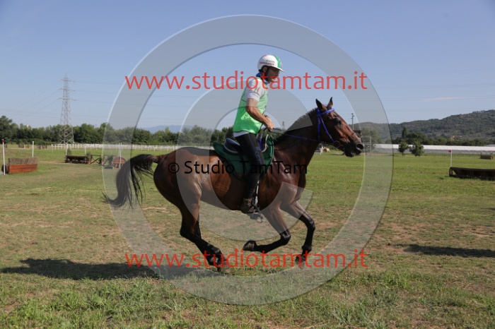 MAT_3693.JPG