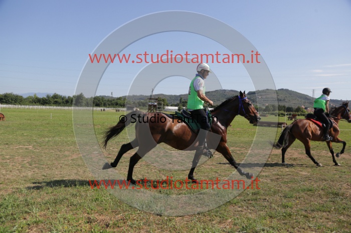 MAT_3694.JPG