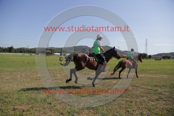 MAT_3695.JPG